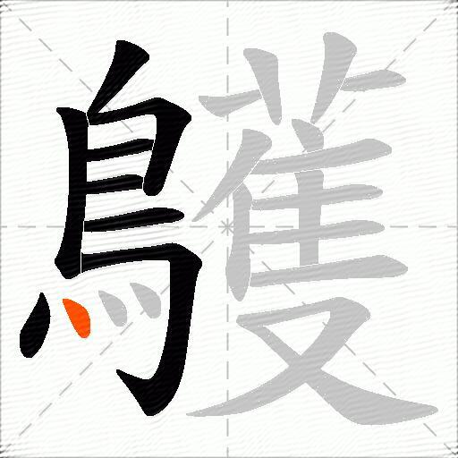 鸌