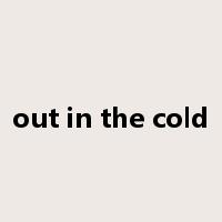 out in the cold是什么意思