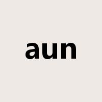 aun是什么意思