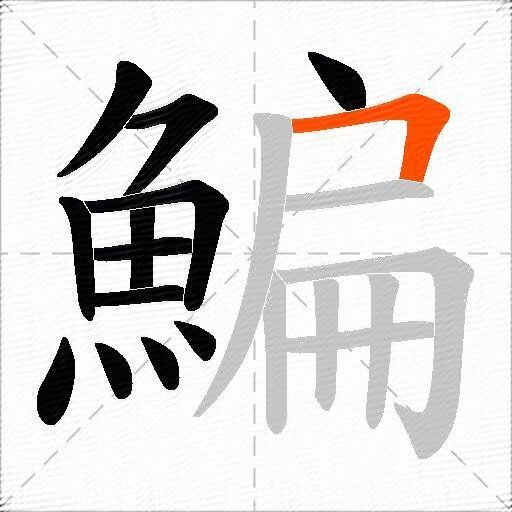 鯿