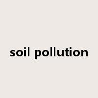soil pollution是什么意思