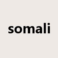 somali是什么意思