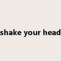 shake your head是什么意思
