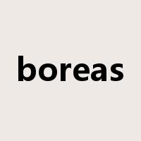 boreas是什么意思