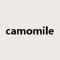 camomile是什么意思