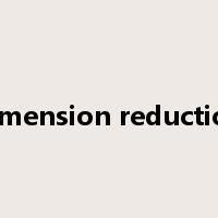 dimension reduction是什么意思