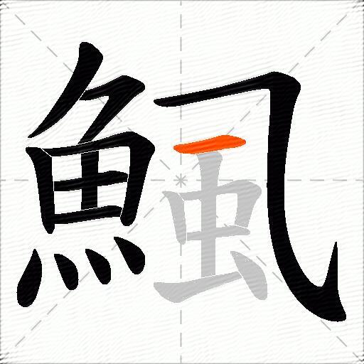 鯴
