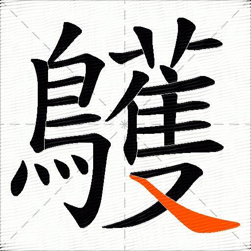 鸌