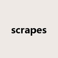 scrapes是什么意思