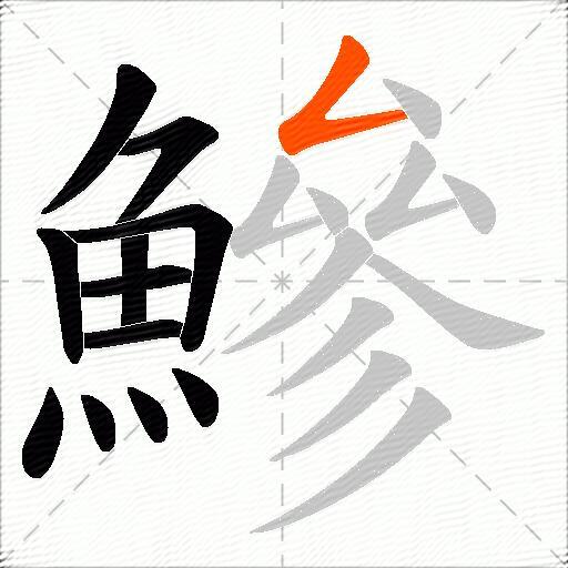 鰺