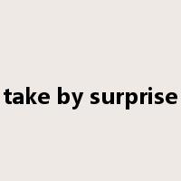 take by surprise是什么意思