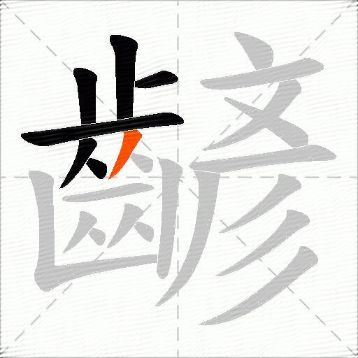 齴