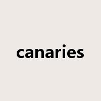 canaries是什么意思