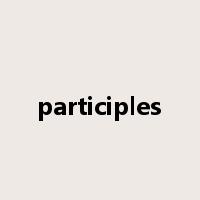 participles是什么意思