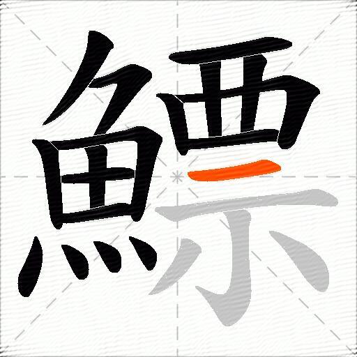 鰾