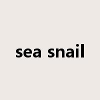 sea snail是什么意思