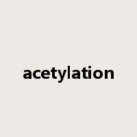 acetylation是什么意思