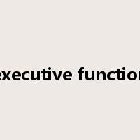 executive function是什么意思