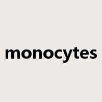 monocytes是什么意思