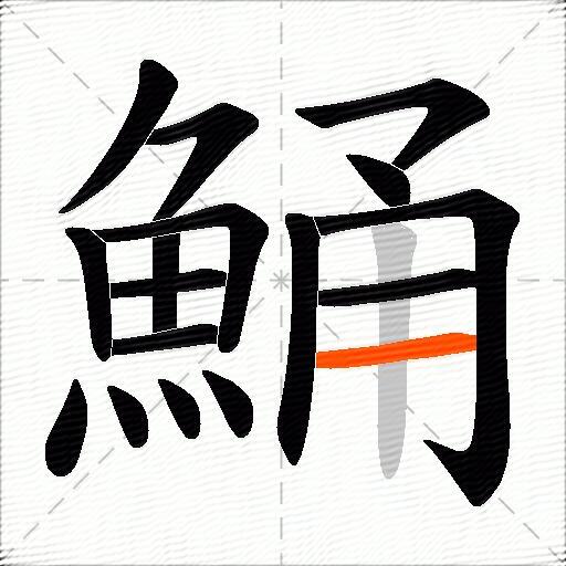 鯒