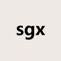 sgx是什么意思