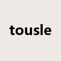 tousle是什么意思
