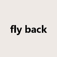 fly back是什么意思