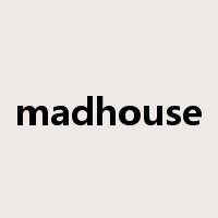 madhouse是什么意思