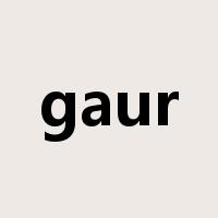 gaur是什么意思