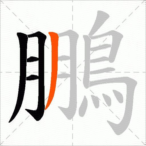 鵬
