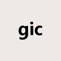 gic是什么意思