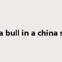 like a bull in a china shop是什么意思