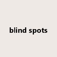 blind spots是什么意思