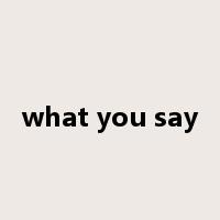 what you say是什么意思