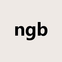 ngb是什么意思