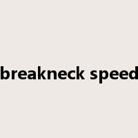 breakneck speed是什么意思