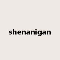 shenanigan是什么意思