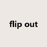 flip out是什么意思