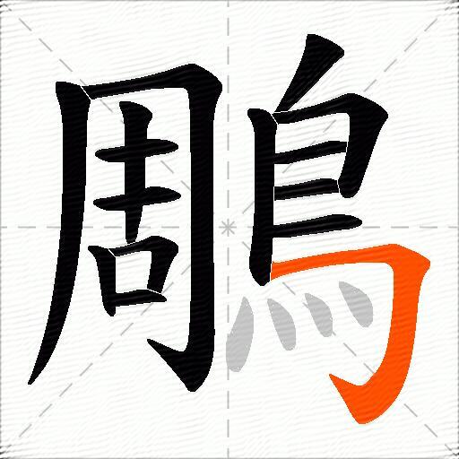 鵰