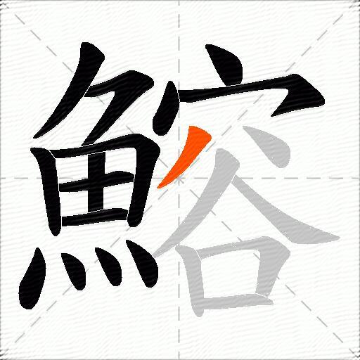 鰫
