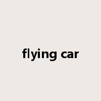 flying car是什么意思