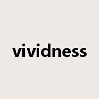 vividness是什么意思