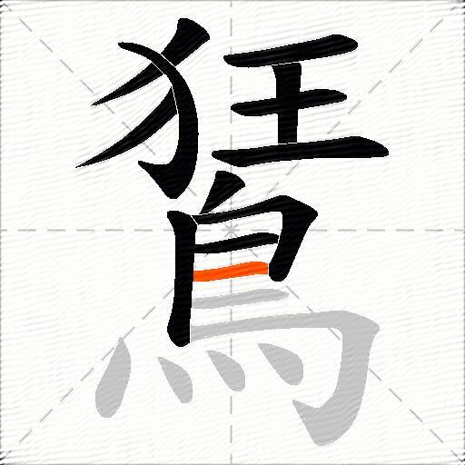 鵟