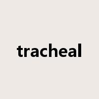 tracheal是什么意思