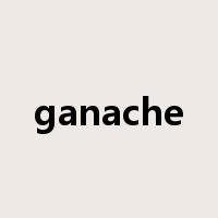 ganache是什么意思