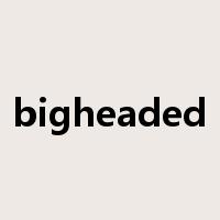 bigheaded是什么意思