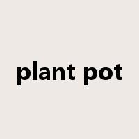 plant pot是什么意思