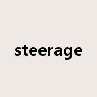 steerage是什么意思