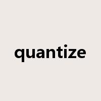 quantize是什么意思