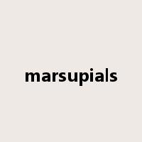 marsupials是什么意思